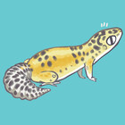 naniiebim