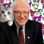BernieShirts