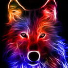 Jdog541007