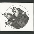 kleeart
