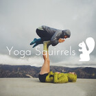 yogasquirrels