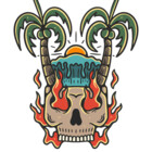 StellaSurfCo