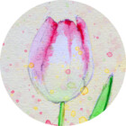 Tulyp-art