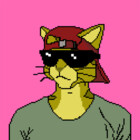CatLand22
