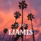 e-Liamis