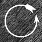 LOOSEstudio