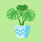 NCM-Designs