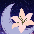YURISPACE