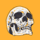 KOOLandSKULL