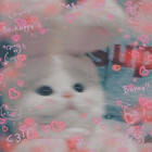 XxKittycutesxX