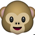 HappyMonkeyBoy