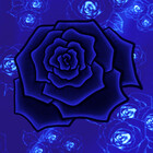 sand-rose