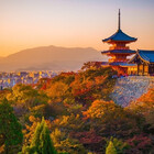 Japanfan22