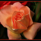 Rosehearty56