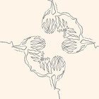 sodabula