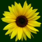 rhnaturestyles