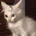 Chlotato94
