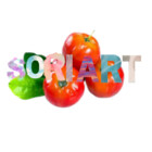 SORIART