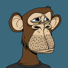 DobbyDoodles