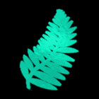NebulaFern