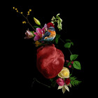flowerlibrary