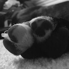 Jake016