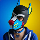 DrakePup