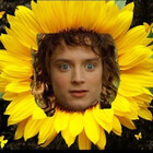 frodosynthesis
