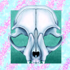 Nauo