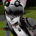 wolffangninja