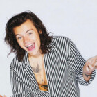 hrrystyles
