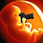TasPhotos