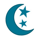 Moonlit-Stars