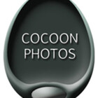 Redbubble profile picture for @cocoon
