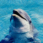 friendlyfauna