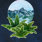 mountainandfern