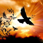 Songbird18Sings