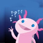 AxolotlQuestion