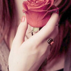 shatha-rose