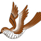 johnacanrana