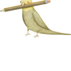 weidermcadamy