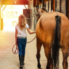 CornishPixiPony