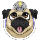 Pods-n-Pugs