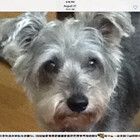 Carter111555540