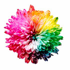 Design--Art