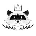 Raccoondoodles