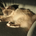 shelagh1312