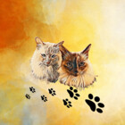 BelovedBirmans