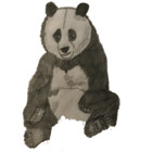 SketchTime
