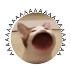 theidiotinside